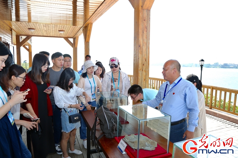 【新时代&middot;幸福美丽新边疆】网媒广东行：40年改革创新发展 海疆沿线展新颜新颜